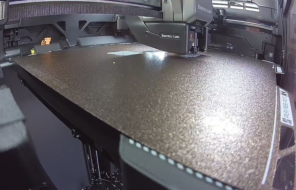 Coral print timelapse
