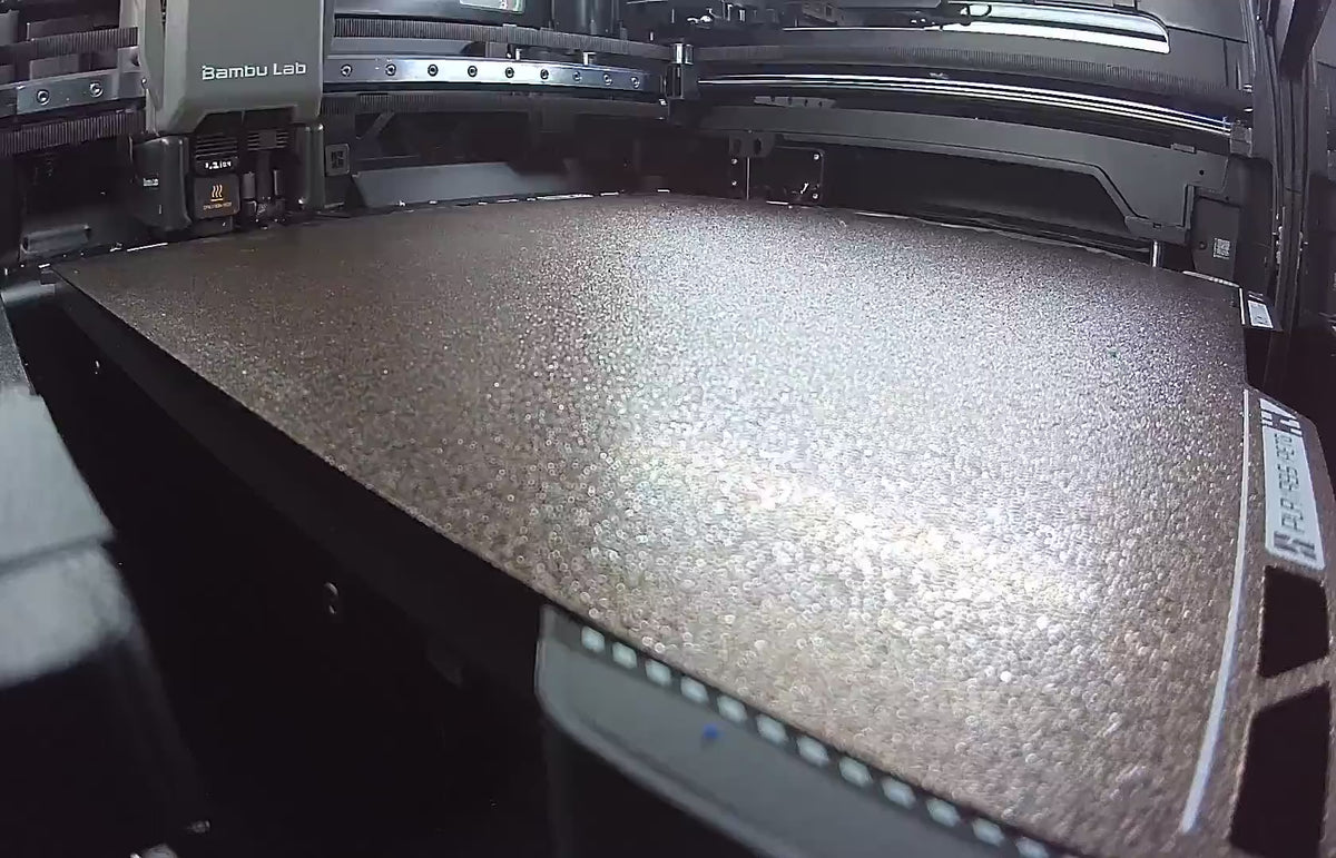 Pumpkin Skeleton print timelapse