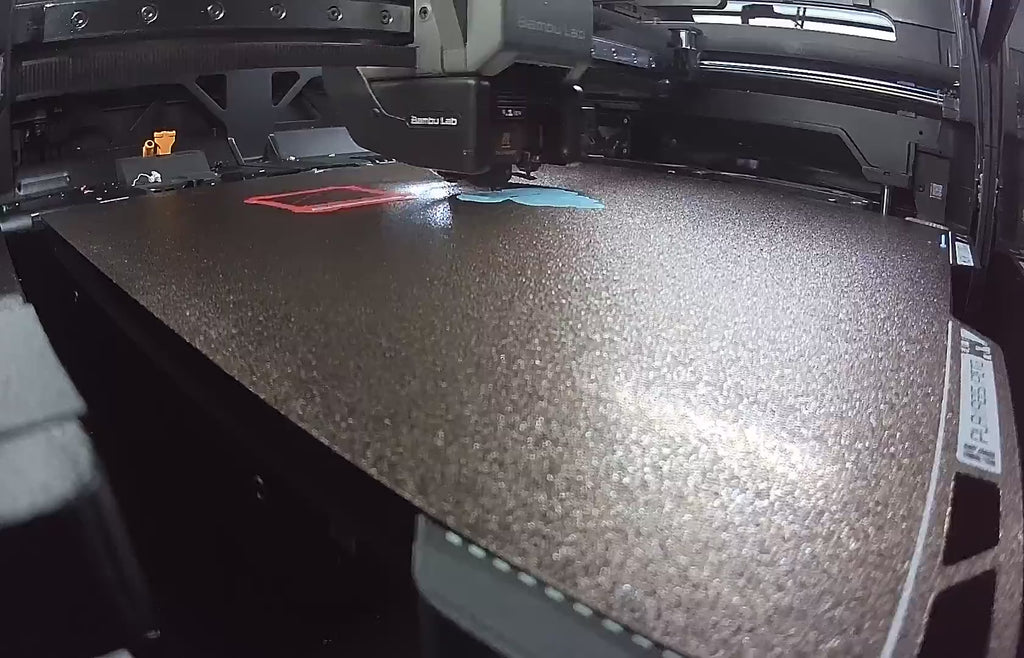 Sally print timelapse