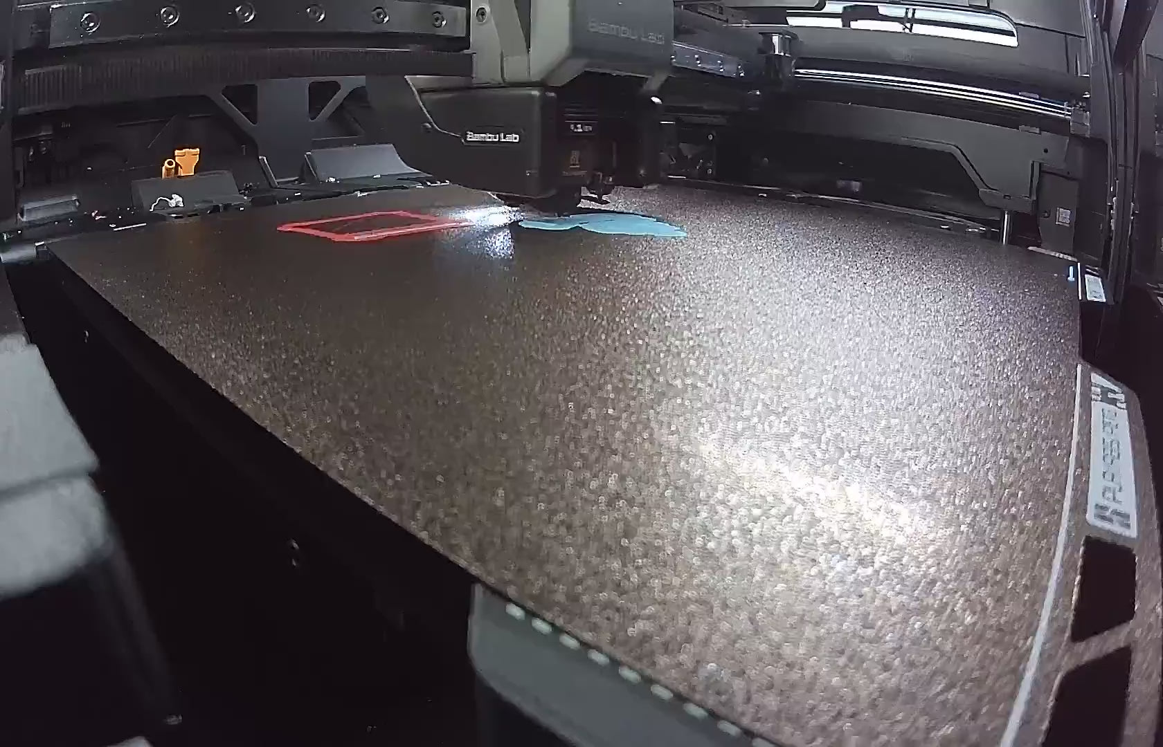 Sally print timelapse